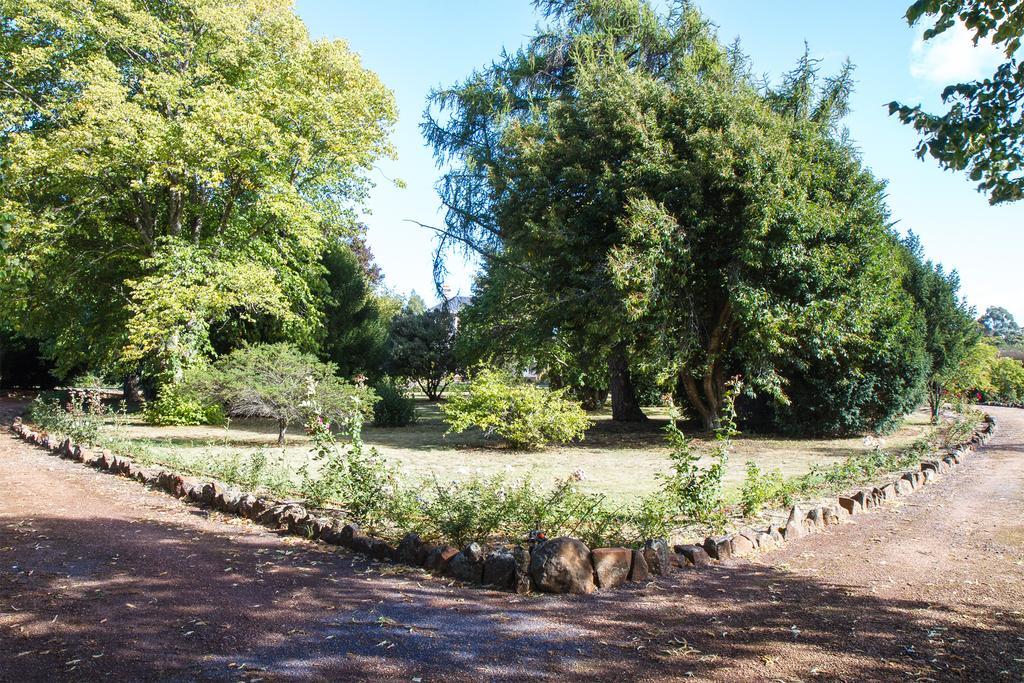 Tahara Cottage Deloraine Rum bild